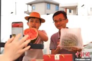 并看到屎（乡村行·看振兴）江西安福“小西瓜”撬动乡村共富“大支点”
