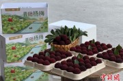 并看到屎高速赋能产业升级：一条“杨梅路”的致富密码